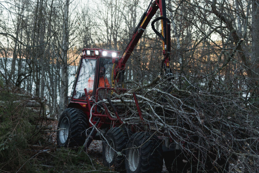 trädbesiktining-göteborg-stockholm-jacksons-trädvård trädbeskärning trädfällning naturvård stubbfräsning